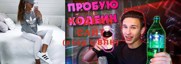 молекула духа Алексин