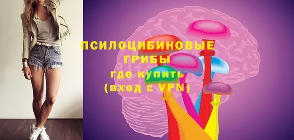 молекула духа Алексин