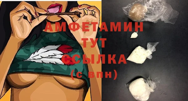 молекула духа Алексин
