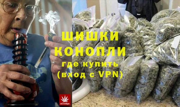гашик Алексеевка